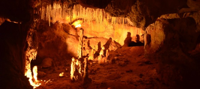 Naracoorte Caves Nationalpark